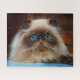 Cutest Baby Animals Himalayan Cat Jigsaw Puzzle
