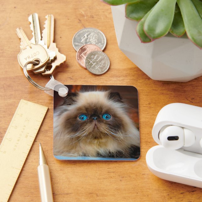 Cutest Baby Animals | Himalayan Cat Key Ring (Desk)