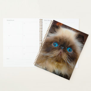 Cutest Baby Animals Himalayan Cat Planner