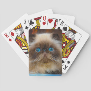 Cutest Baby Animals   Himalayan Cat Playing Cards