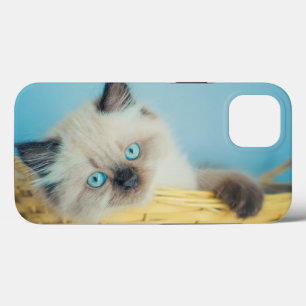 Cutest Baby Animals Himalayan Seal Point Cat iPhone 13 Case