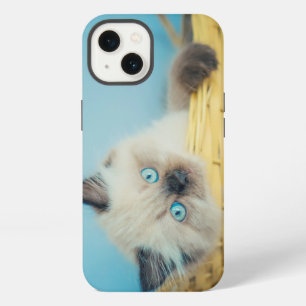 Cutest Baby Animals Himalayan Seal Point Cat iPhone 13 Case