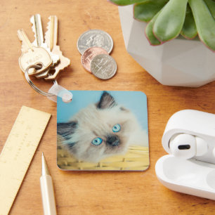 Cutest Baby Animals   Himalayan Seal Point Cat Key Ring