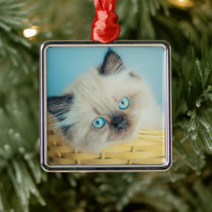 Cutest Baby Animals Himalayan Seal Point Cat Metal Ornament