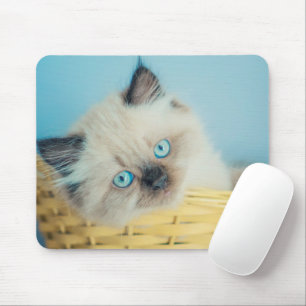 Cutest Baby Animals   Himalayan Seal Point Cat Mouse Pad