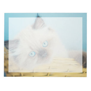 Cutest Baby Animals   Himalayan Seal Point Cat Notepad