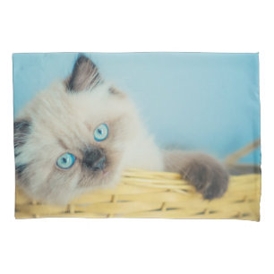 Cutest Baby Animals   Himalayan Seal Point Cat Pillowcase