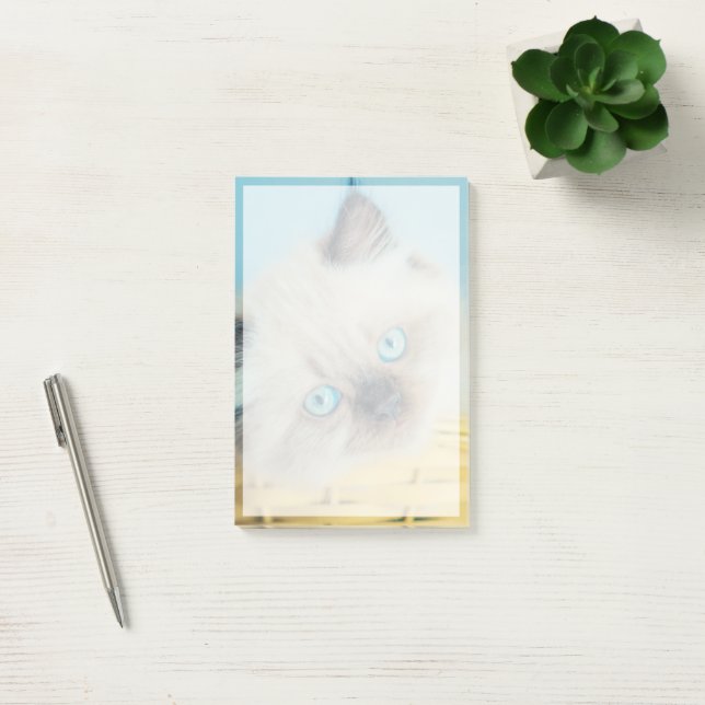 Cutest Baby Animals | Himalayan Seal Point Cat Post-it Notes (Office)