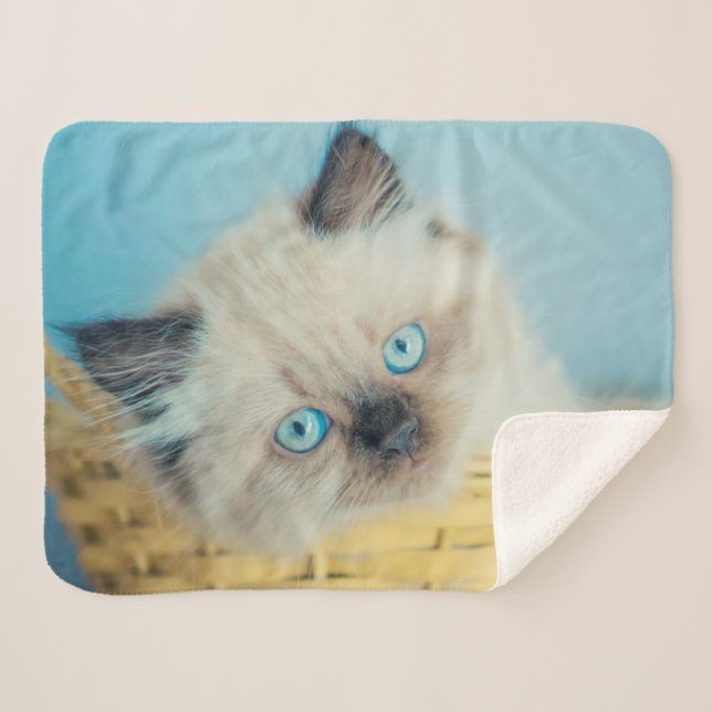 Cutest Baby Animals | Himalayan Seal Point Cat Sherpa Blanket (Front (Horizontal))