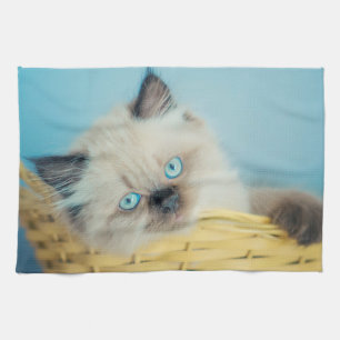 Cutest Baby Animals   Himalayan Seal Point Cat Tea Towel