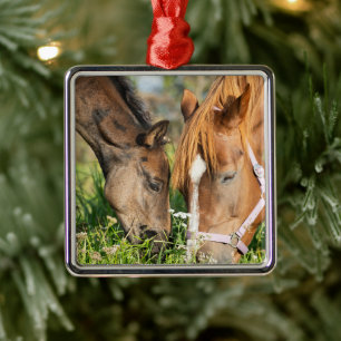 Cutest Baby Animals   Horse Colt Metal Ornament