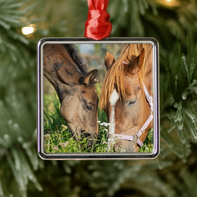 Cutest Baby Animals | Horse Colt Metal Ornament (Tree)