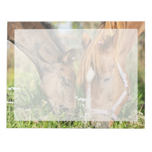 Cutest Baby Animals   Horse Colt Notepad