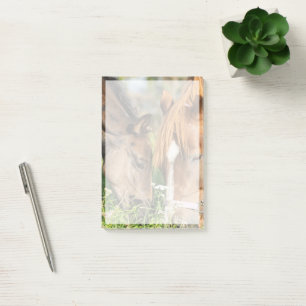Cutest Baby Animals Horse Colt Post-it Notes