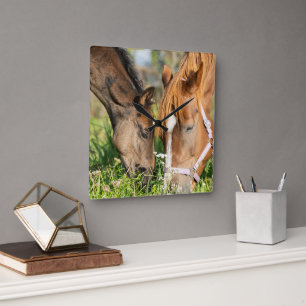 Cutest Baby Animals Horse Colt Square Wall Clock