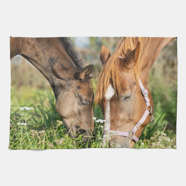 Cutest Baby Animals | Horse Colt Tea Towel (Horizontal)