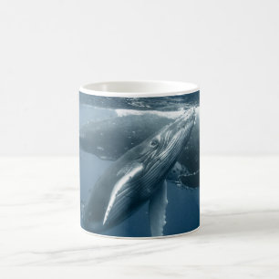 Cutest Baby Animals   Humpback Whale Calf Coffee Mug
