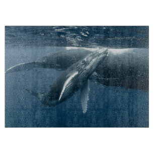 Cutest Baby Animals Humpback Whale Calf Cutting Board