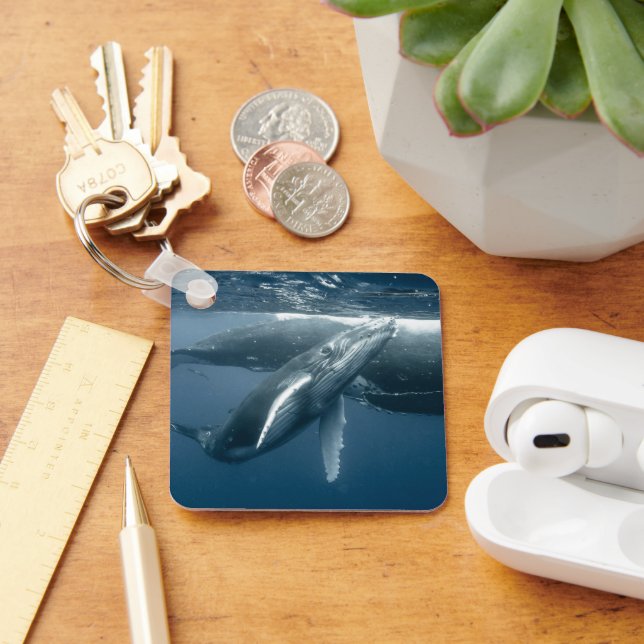 Cutest Baby Animals | Humpback Whale Calf Key Ring (Desk)