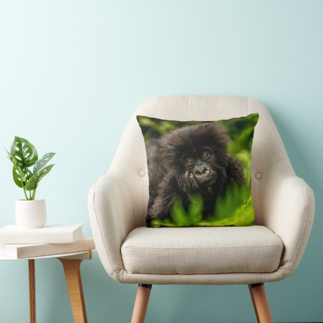 Cutest Baby Animals | Infant Mountain Gorilla Cushion (Chair)