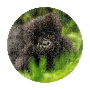 Cutest Baby Animals Infant Mountain Gorilla Cutting Board