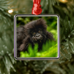 Cutest Baby Animals   Infant Mountain Gorilla Metal Ornament