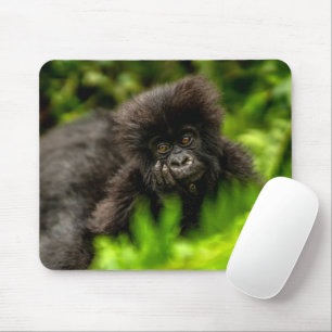 Cutest Baby Animals   Infant Mountain Gorilla Mouse Pad