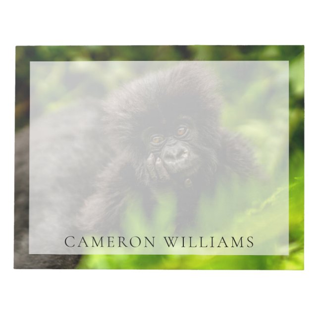 Cutest Baby Animals | Infant Mountain Gorilla Notepad (Front)