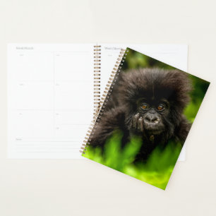 Cutest Baby Animals   Infant Mountain Gorilla Planner