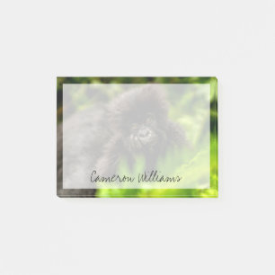 Cutest Baby Animals Infant Mountain Gorilla Post-it Notes