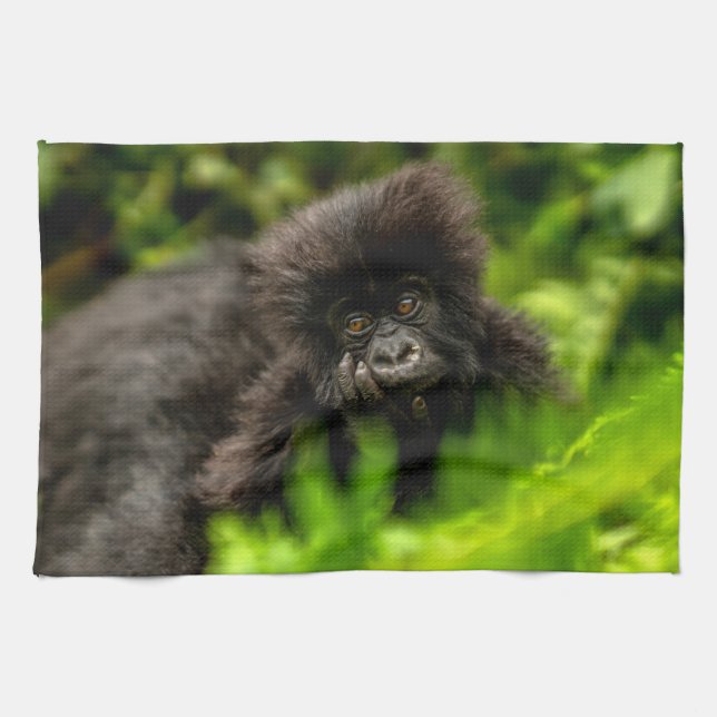 Cutest Baby Animals | Infant Mountain Gorilla Tea Towel (Horizontal)