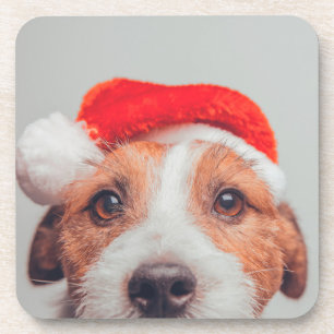 Cutest Baby Animals   Jack Russell Dog Santa Claus Coaster