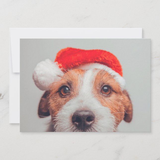 Cutest Baby Animals | Jack Russell Dog Santa Claus Thank You Card (Front)