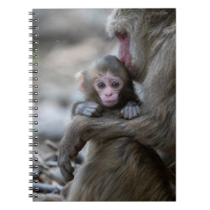 Cutest Baby Animals Japanese Monkey & Baby Notebook