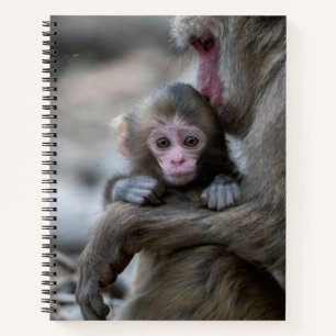 Cutest Baby Animals Japanese Monkey & Baby Notebook
