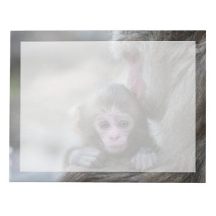 Cutest Baby Animals Japanese Monkey & Baby Notepad