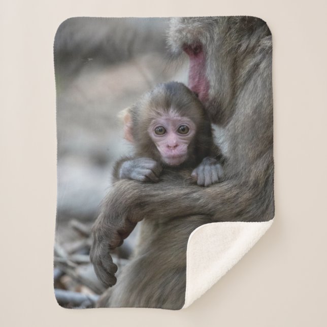Cutest Baby Animals | Japanese Monkey & Baby Sherpa Blanket (Front)