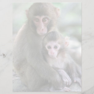 Cutest Baby Animals Japanese Monkeys