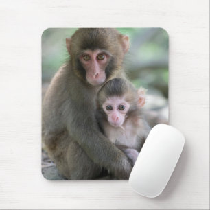 Cutest Baby Animals Japanese Monkeys Mouse Pad