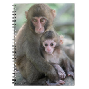 Cutest Baby Animals Japanese Monkeys Notebook