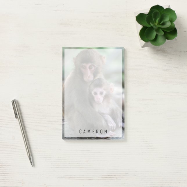 Cutest Baby Animals | Japanese Monkeys Post-it Notes (Office)