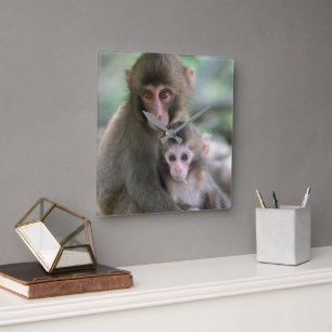 Cutest Baby Animals Japanese Monkeys Square Wall Clock