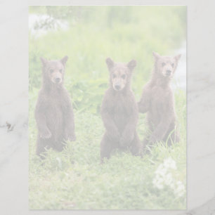 Cutest Baby Animals Kamchatka Brown Bear Cubs