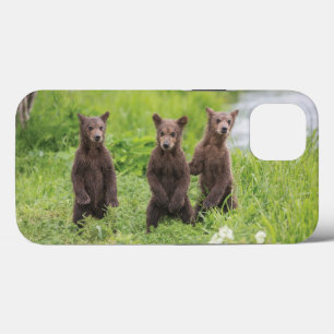Cutest Baby Animals Kamchatka Brown Bear Cubs iPhone 13 Case