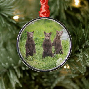 Cutest Baby Animals Kamchatka Brown Bear Cubs Metal Ornament
