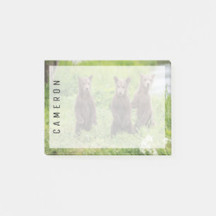 Cutest Baby Animals Kamchatka Brown Bear Cubs Post-it Notes