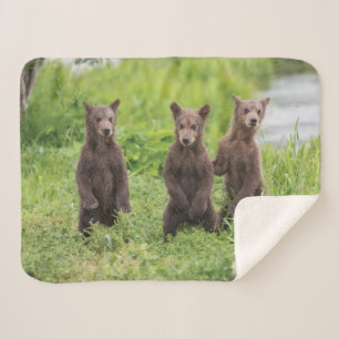Cutest Baby Animals   Kamchatka Brown Bear Cubs Sherpa Blanket