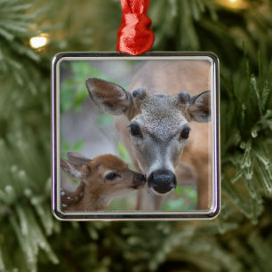 Cutest Baby Animals Key Deer Stag & Fawn Metal Ornament