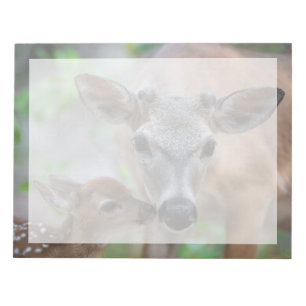 Cutest Baby Animals   Key Deer Stag & Fawn Notepad