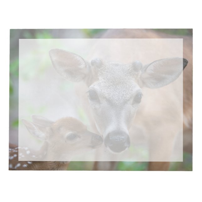 Cutest Baby Animals | Key Deer Stag & Fawn Notepad (Front)